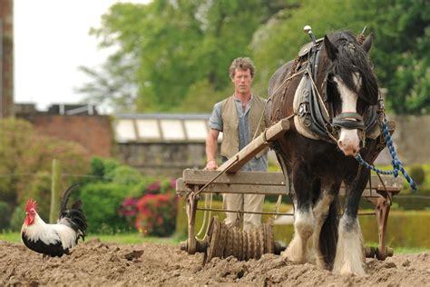 acton scott working farm